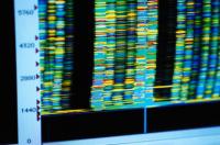 11 new alzheimer's genes